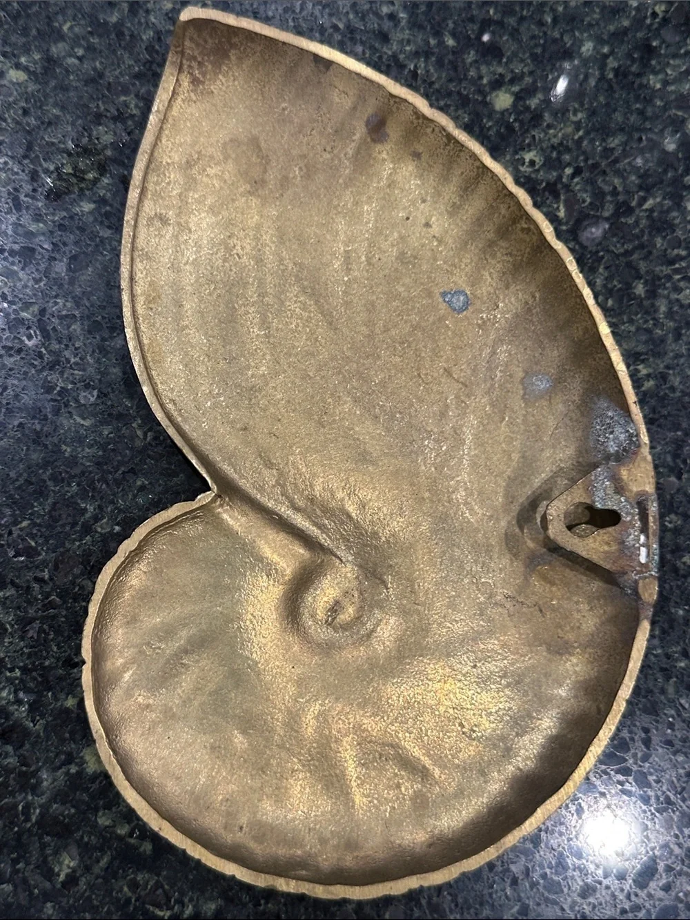 Vintage Brass mcm coastal Nautical Shell nautilus wall decor pair heavy metal